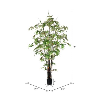 Majestic 7' Potted Black Japanese Bamboo Floor Plant