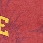 iowa state university