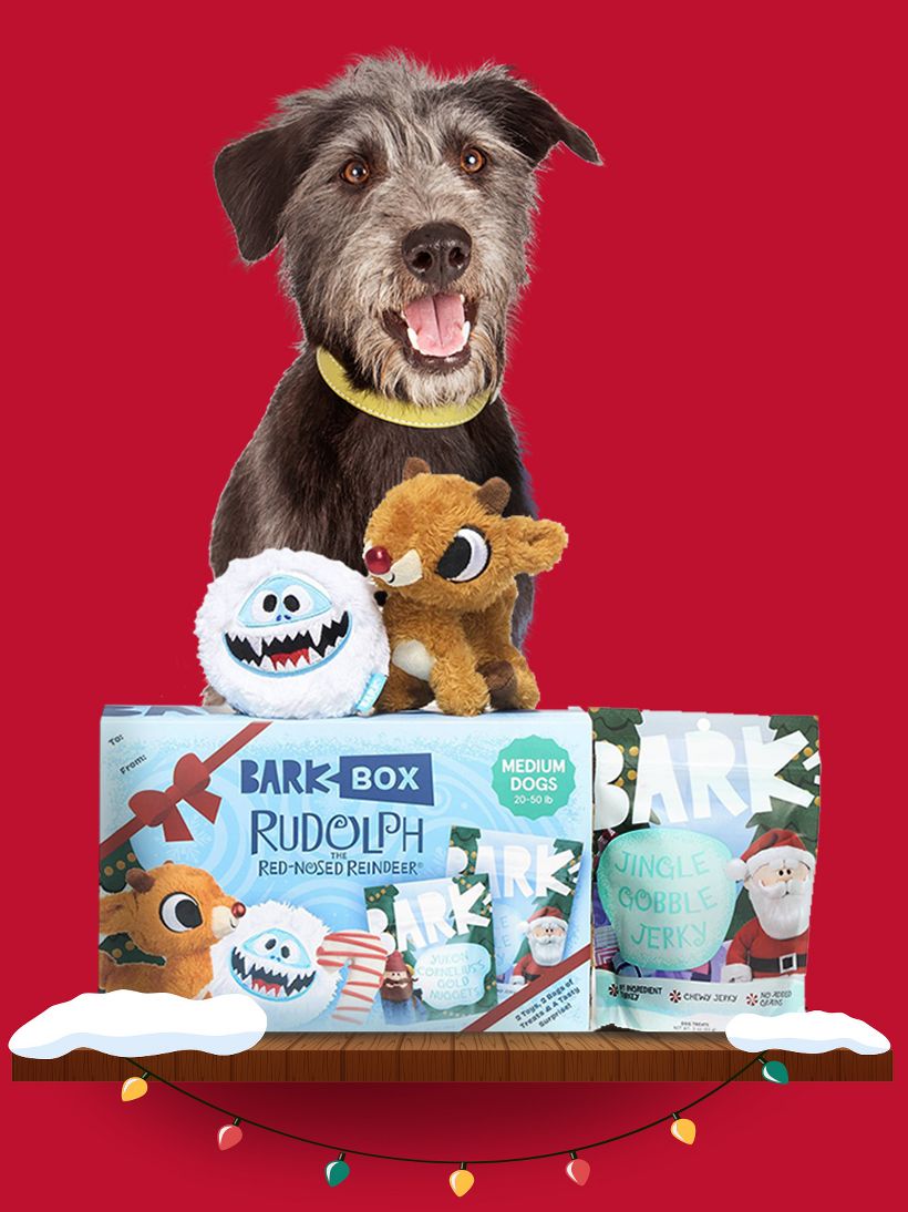 Barkbox treats target best sale