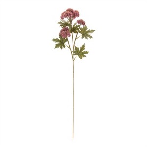 Sedum Succulent Spray (Set of 6) - 1 of 2