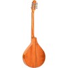 Gold Tone BZ-500 Irish Bouzouki Mandolin With Case Natural - 4 of 4