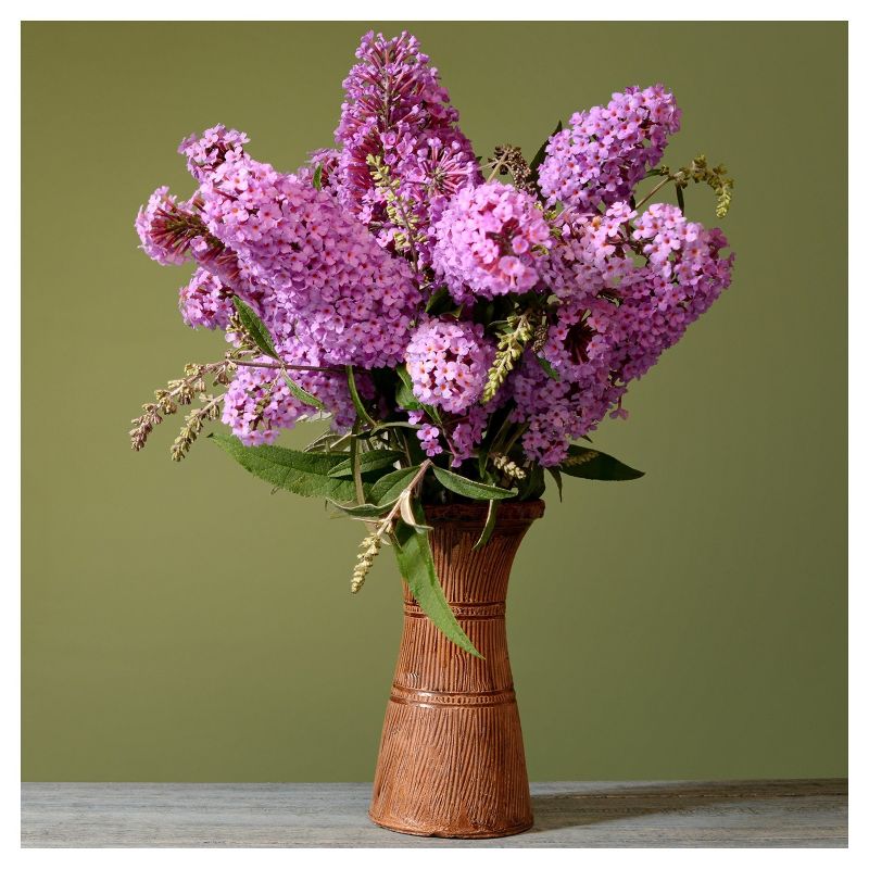 Buddleia &#39;Pink Delight&#39; 1pc - National Plant Network U.S.D.A Hardiness Zone 5-9, 4 of 5