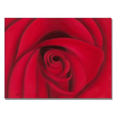 18" x 24" Red Rose by Rio - Trademark Fine Art