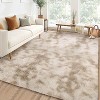 Acekool Ultra Soft Shaggy Rug, Non-Slip Plush Indoor Carpet, Tie-Dye & Solid Colors for Living Room, Bedroom – Multiple Sizes - 3 of 4