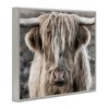 Stupell Industries Detailed Highlands Cattle Rural Farm Photography Black Framed Giclee Art - 3 of 4