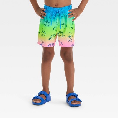 Toddler Boys' Dinosaur Printed Ombre Swim Shorts - Cat & Jack™ 4T