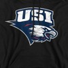 University of Southern Indiana Official Distressed Primary Logo Adult Pull-Over Hoodie - 2 of 4