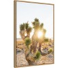 Amanti Art Joshua Tree Sunrise by Bethany Young Canvas Wall Art Print Framed - 2 of 4