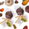 Astor Autumn Collection - Milk Chocolate Pumpkin Lollipop - 2 of 2