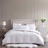 Naples 700 Thread Count Oversized Hungarian White Goose Down Comforter - Blue Ridge Home Fashions - 4 of 4