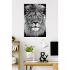 Trends International Reinders: Animals - Blue Eyed Lion Unframed Wall Poster Prints - 2 of 4