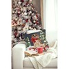 Liora Manne Frontporch Holiday Indoor/Outdoor Pillow.. - 3 of 4