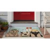 Liora Manne Frontporch Lodge Indoor/Outdoor Rug.. - 2 of 4
