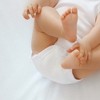 Honest Baby 5-Pack Organic Cotton Short Sleeve Bodysuits - 4 of 4