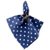 Design Imports Patriot Stars Napkin Set/6 - 3 of 4