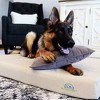 BuddyRest Deluxe Buddy Bed Orthopedic Memory Foam Dog Bed – Cooling Memory Foam, Machine-Washable Cover, Made in USA - 2 of 4