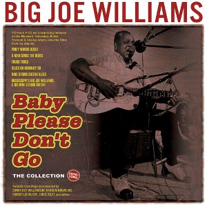Big Joe Williams - Baby Please Don't Go: The Collection 1935-62 (CD) - 1 of 1