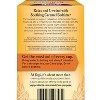 Yogi Tea Soothing Caramel Bedtime Tea - 16 Tea Bags per Pack - 6 Packs - 2 of 3
