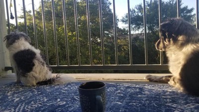 Guest review image 1 of 2, zoom in