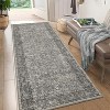 Coucheta Vintage Distressed Runner Rug Machine Washable Non-Slip Low Pile Floral Printed Hallway Kitchen Laundry Rug,Multiple sizes and colors - 2 of 4