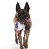 BARK Afraid of the Bark Halloween 2.75" Little Wrapscal Rope Plush Dog Toy - 4 of 4