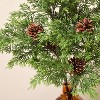22" Cedar and Pinecones in Ribbed Amber Vase Artificial Arrangement - Hearth & Hand™ with Magnolia - 3 of 3