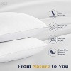 Aghana Digitals Goose Feathers and Down Pillows Set of 2, Standard Size - 2 of 4