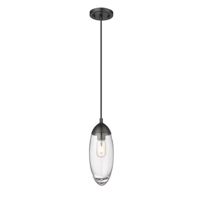 Matte Black Glass and Nickel Indoor/Outdoor Pendant Light