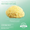 BNPT-408 | Neptune Sea Wool Sponge, Approx. 8" - 2 of 4