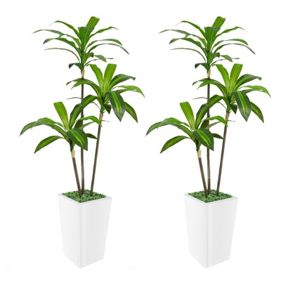 Artificial Dracaena Tree, Faux Dracaena Tree with Tall White Planter, Ideal for Home Decor and Housewarming Gift