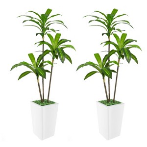 Artificial Dracaena Tree, Faux Dracaena Tree with Tall White Planter, Ideal for Home Decor and Housewarming Gift - 1 of 4