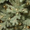 National Tree Company 7.5 ft. Buckingham Blue Spruce Tree with Clear Lights - 3 of 3