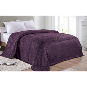 Super Comfy  Plush Chevron Arrow Embossed Jacquard Microplush Blanket - 1 of 4
