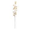 Golden Patrina Spray 33" Plastic Floral Picks Set of 12 in Warm Autumn Yellow Hues by Melrose - 2 of 3