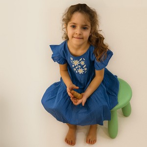 Ola! Otter Flutter Sleeve Embroidered Dress - Navy Blue - 1 of 4