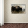 Trademark Fine Art - Jai Johnson Abstract American Bison Matted Framed Art - 3 of 3