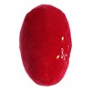Aurora Small Berry Cute JUST SAYIN' Witty Stuffed Animal Red 8" - 3 of 4