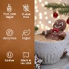 Syruvia Gingerbread Syrup - 25.4 fl oz. Premium Flavoring Syrup For Coffee - 4 of 4