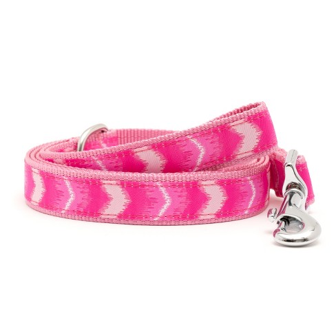 The Worthy Dog Ombre Dog Leash - image 1 of 3