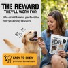 Dog Chits Lamb Lung Fillets Dog and Puppy Treats | Made in USA | Easy to Break Slices | Great for Training - 3 of 4