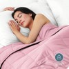 Light Pink 40x60 10lbs Weighted Blanket - 2 of 4