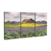 Trademark Fine Art Michael Blanchette Photography Lupines and Mountains Panorama 3 Piece Panel Set Art - 2 of 3