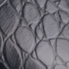 black croc