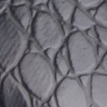 black croc
