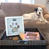 Pavilion Gift Company - Woof - 9" Pawprint Shadowbox Frame - Wall Art - 2 of 4