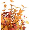 Attop 6 Pcs Aritificial Eucalyptus Stems Fall Decorations Leaves Spray Autumn Decorations with Fall Eucalyptus Branches - 2 of 4