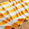Isla Jade 4pk Cotton Cabana Beach Towels - 3 of 4