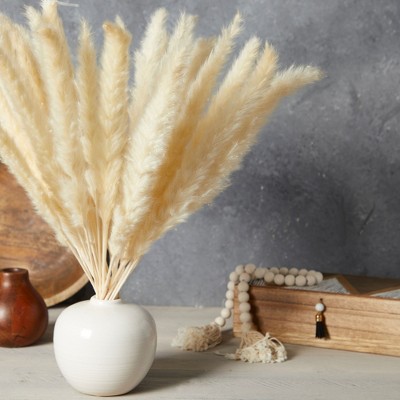 17-inch Beige Dried Pampas Grass for Rustic Farmhouse Decor