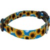 Country Brook Petz Deluxe Dog Collar - Floral Collection - 4 of 4