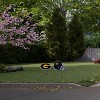 NCAA Grambling State Tigers 2pk Logo and Helmet Garden Stake Set - 2 of 2